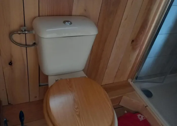 Du Pere Noel 10 Minutes From Gerardmer 샬레 Ban-sur-Meurthe-Clefcy